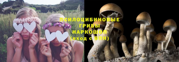 гашик Медногорск
