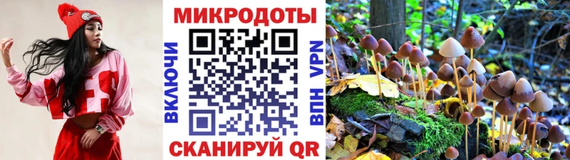 как найти закладки  Шали  Галлюциногенные грибы мухоморы 
